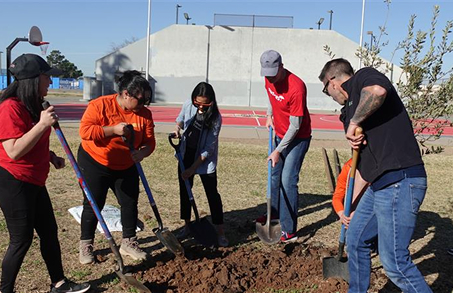 planting trees