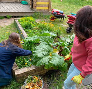 people gardening at a playground